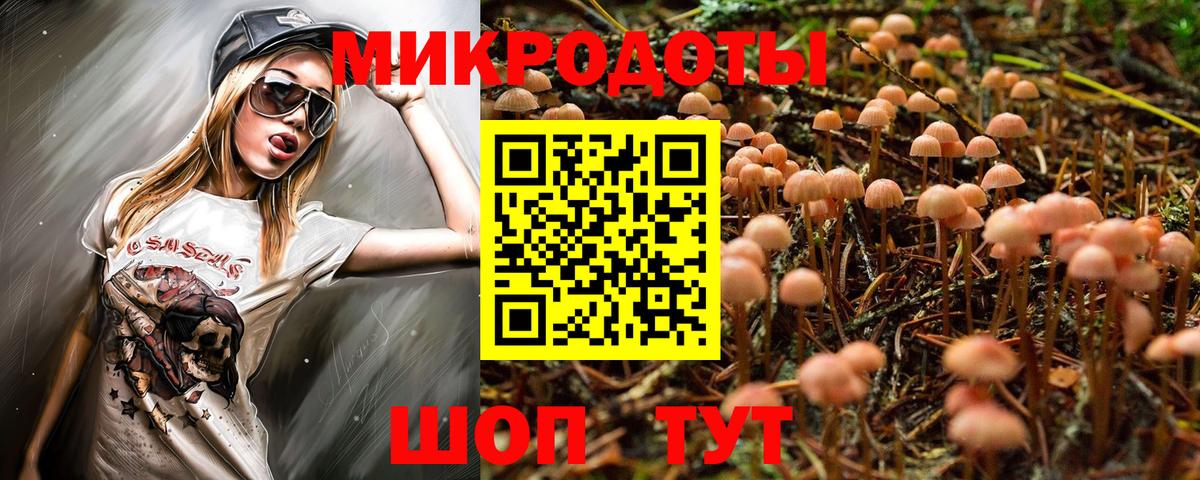 Ставрополь  Галлюциногенные грибы прущие грибы  цены   Вход с VPN 